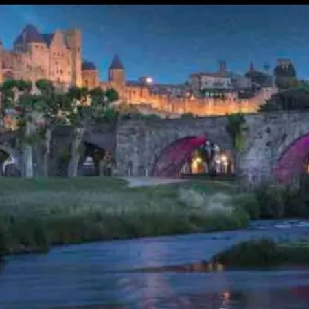 Appartement T2 Avec Vue Chateau Carcassonne Esterno foto