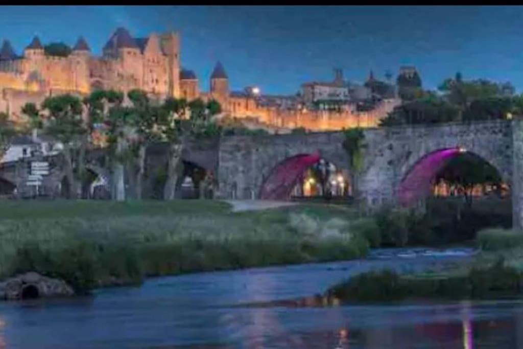 Appartement T2 Avec Vue Chateau Carcassonne Esterno foto