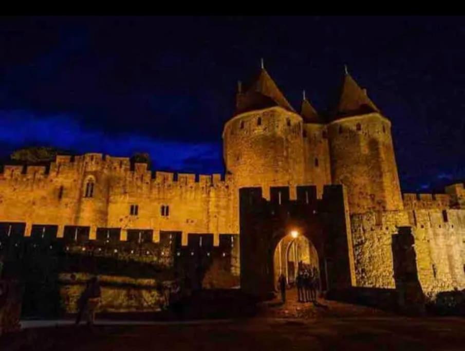 Appartement T2 Avec Vue Chateau Carcassonne Esterno foto