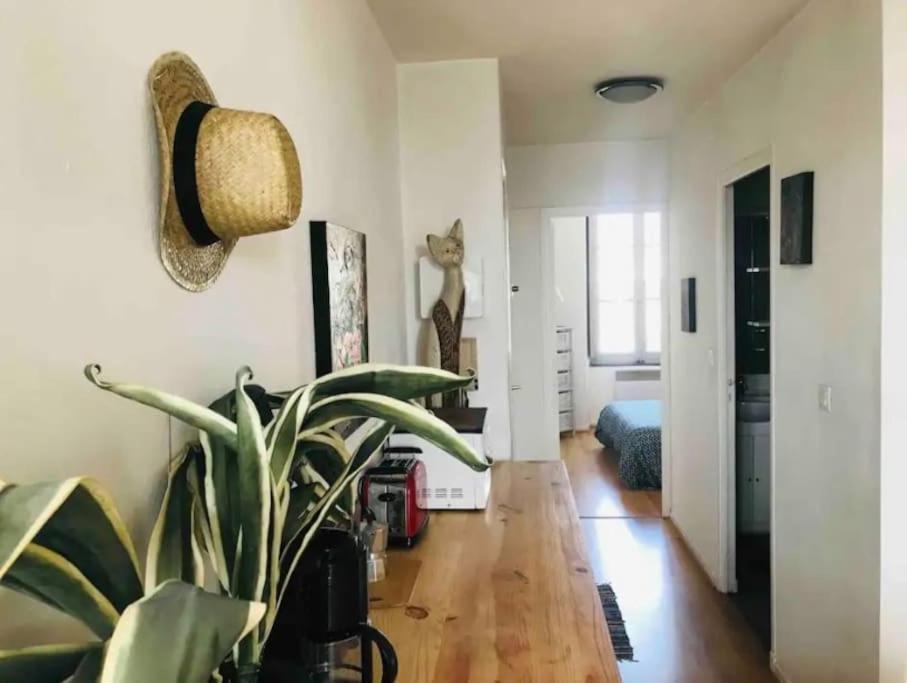 Appartement T2 Avec Vue Chateau Carcassonne Esterno foto