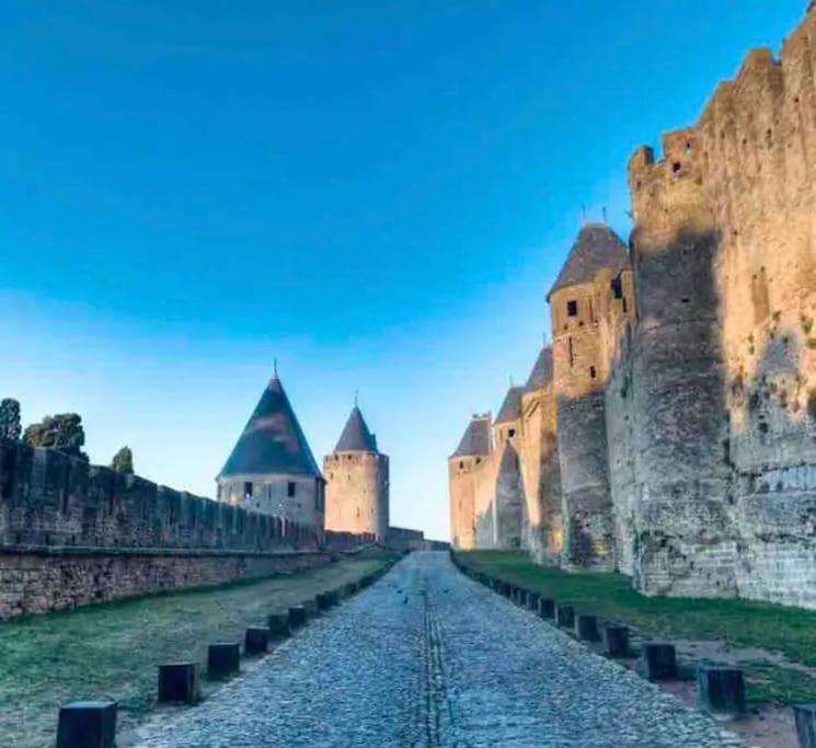 Appartement T2 Avec Vue Chateau Carcassonne Esterno foto