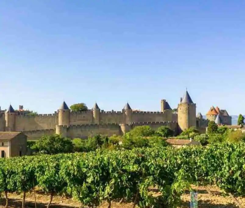 Appartement T2 Avec Vue Chateau Carcassonne Esterno foto